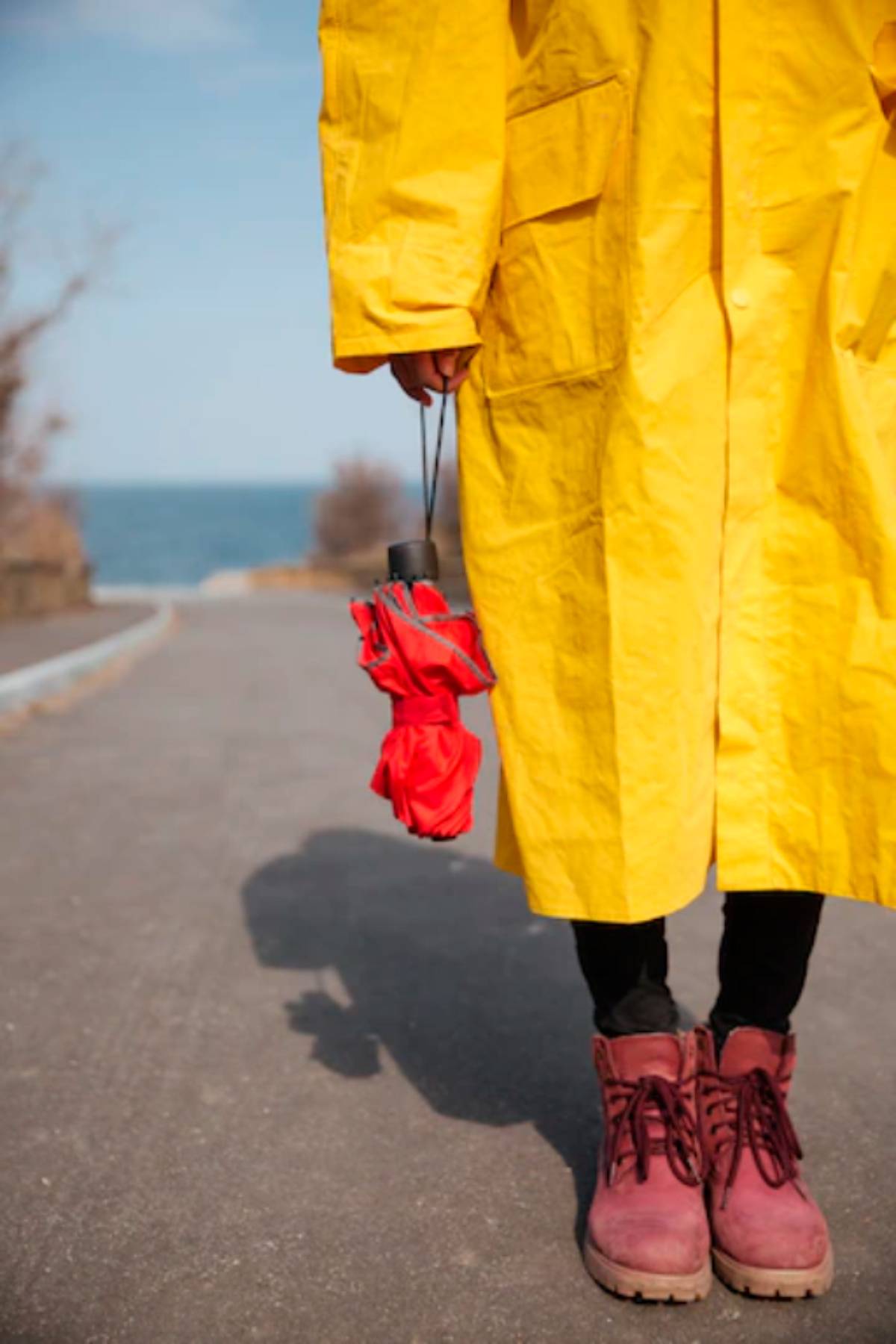 Главные имена, связанные с историей дождевиков